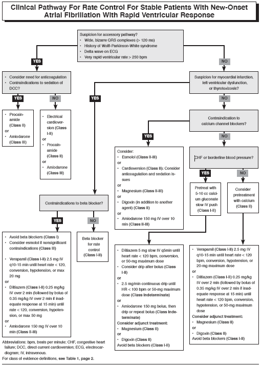 This Week's Most Viewed Topics